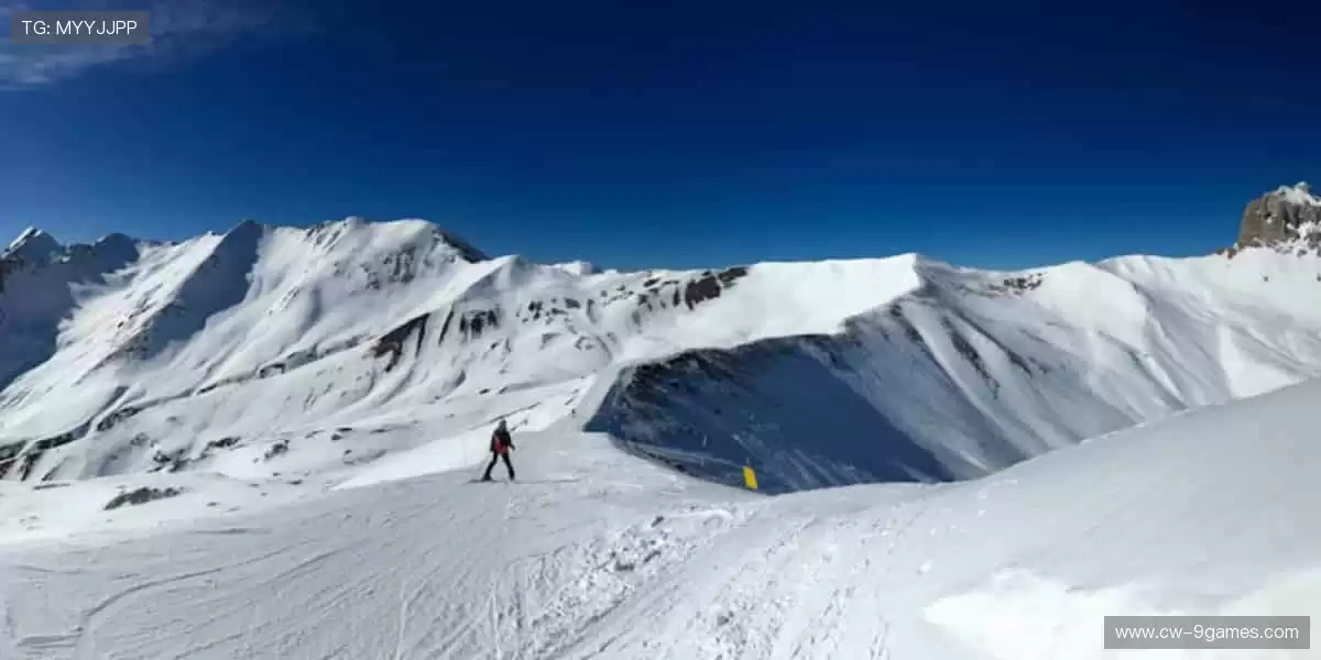 🏃 奔跑吧，用汗水丈量世界！📅 下一场赛事，等你挑战！